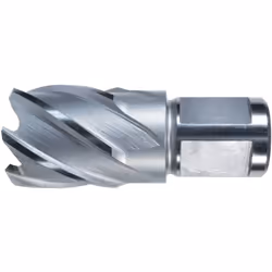 Carottier HSS-Co, en blanc Foret • HSS Co5 • Plaine de surface • Avec un diamètre de tige Weldon 19 mm, 2 surfaces d'entraîne ...
