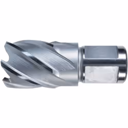 Carottier HSS-Co, en blanc Foret • HSS Co5 • Plaine de surface • Avec un diamètre de tige Weldon 19 mm, 2 surfaces d'entraîne ...