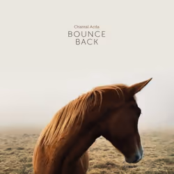 ImportCDs Bounce Back, Américaine, CD/Vinyle, Support physique, Adulte, 2 disques, 04/05/2017