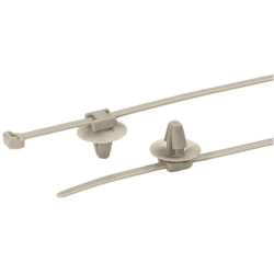 Hellermanntyton - 156-01091 PT2AP2SFT6.5-PEEK-BGE Serre-câble 145 mm 3.4 mm beige 1 pc(s)