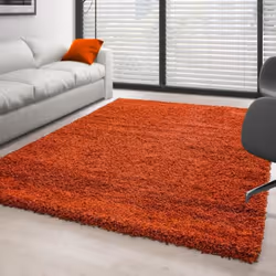 Tapis Shaggy - Ayyildiz - Terracotta - 300x400 cm - 100% Polypropylène - 30 mm de hauteur de pile