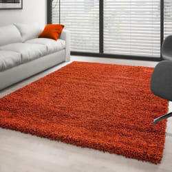 Tapis Shaggy - Ayyildiz - Terracotta - 300x400 cm - 100% Polypropylène - 30 mm de hauteur de pile