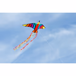 HQ Kites & Designs USA Tropical Bird Cerf-volant à un seul fil