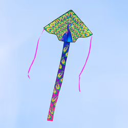 Invento Simple Flyer Peacock