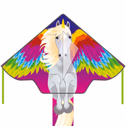 Invento Simple Flyer Pegasus, 5 an(s)