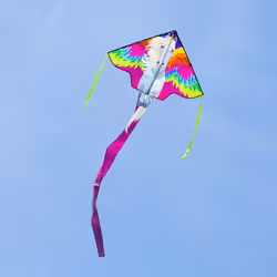 Invento Simple Flyer Pegasus