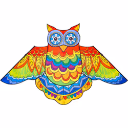 Invento Jazzy Owl, 5 an(s)