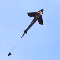 Invento Ecoline Shark Kite Cerf-volant à un seul fil - Vue supplémentaire 4