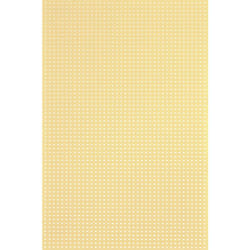Rademacher - Platine WR-Typ 716-5 vk C-716-5 sans couche de cuivre Bakélite (l x l) 160 mm x 100 mm Pas 2.50 mm 1 pc(s) S54574