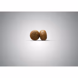 Josera YoungStar 900 g Universel Pomme de terre, Volaille