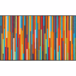 wash+dry 4032445062332, Paillasson décoratif, Intérieure, Rectangulaire, Multicolore, Image, Polyamide