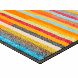 wash+dry 4032445062332 paillasson Paillasson décoratif Intérieure Rectangulaire Multicolore