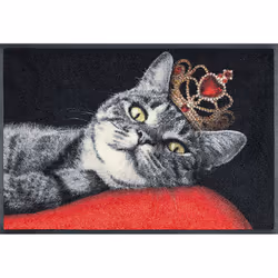 wash+dry 4032445078760, Paillasson décoratif, Intérieure, Rectangulaire, Multicolore, Image, Polyamide