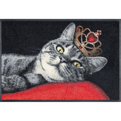 wash+dry 4032445078760 paillasson Paillasson décoratif Intérieure Rectangulaire Multicolore