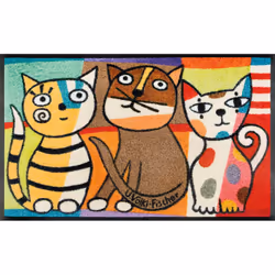 wash+dry 088844, Paillasson décoratif, Intérieure, Rectangulaire, Multicolore, Image, 500 mm