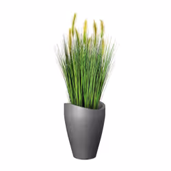 Scheurich 4033083542675 pot à fleurs Extérieure Kit de plantation en pot Autonome Plastique Noir