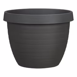 Scheurich Country Star 270, Kit de plantation en pot, Autonome, Plastique, Gris, Rond, Extérieure