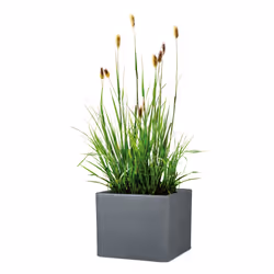 Scheurich Alea 140 Extérieure Kit de plantation en pot Autonome Plastique Noir, Granit