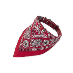Collier pour chien avec bandana Nobby Pet
