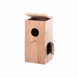 Nobby 50276, Perruche, Bois, Bois, 2 portes(s), 300 mm, 300 mm