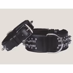 Colliers pour chien cuir Nobby Pet Delgado