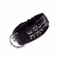 Nobby DELGADO, Chien, Collier standard, Noir, Cuir, Monochromatique, 48 cm