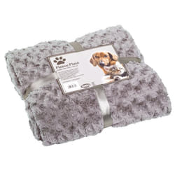 Nobby 70981-17 Chat (animal) / Chien Toison, Polyester Gris
