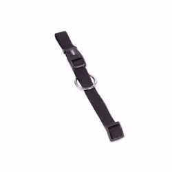 Nobby Classic, Chien, Collier standard, Noir, Nylon, Monochromatique, S-M