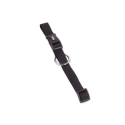 Nobby Classic Noir Nylon S-M Chien Collier standard