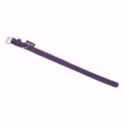 Nobby 78141-07, Chien, Collier standard, Violet, Monochromatique, XS-S, 1,4 cm