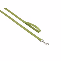 Nobby 73159-41, Chien, Laisse standard, Vert, Ruban, Monochromatique, Nylon