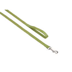 Nobby 73160-41, Chien, Laisse standard, Vert, Ruban, Monochromatique, Nylon