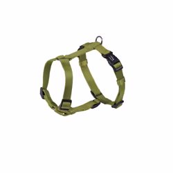 Nobby 73165-41, Chien, Harnais anti-traction, XS-S, Vert, Nylon, Monochromatique