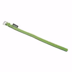 Nobby 78145-35, Chien, Collier standard, Vert, Monochromatique, M-L, 2,5 cm