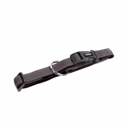 Nobby 78511-74, Collier standard, Gris, Nylon, S-M, 20 mm