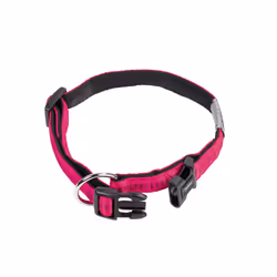 Nobby 78509-77, Chien, Collier standard, Fuchsia, Nylon, XS, 10 mm