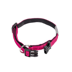 Nobby 78509-77 Fuchsia Nylon XS Chien Collier standard