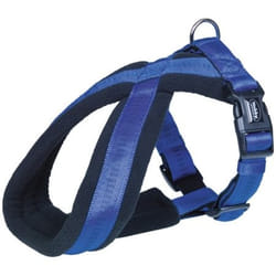 Nobby 80515-06 harnais pour chiens et chats M-L Bleu Nylon Chien Harnais avec laisse