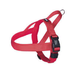 Nobby Classic Preno, Chien, Harnais avec laisse, L-XL, Rouge, Nylon, Monochromatique