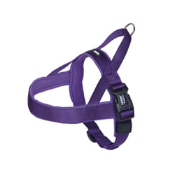 Nobby 80535-38 XL Violet Nylon Chien Harnais anti-traction