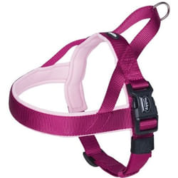 Nobby 80535-64 harnais pour chiens et chats XL Rose Nylon Chien Harnais avec laisse