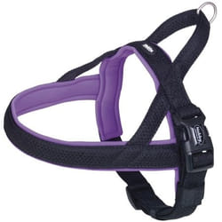 Nobby 80551-38 harnais pour chiens et chats S-M Lilas Métal, Nylon Chien Harnais de sécurité pour ceinture de sécurité
