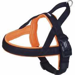 Nobby Mesh Preno, Chien, Harnais avec laisse, L, Noir, Orange, Nylon, Monochromatique