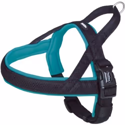 Nobby 80553-34, Chien, Harnais de sécurité pour ceinture de sécurité, L, Noir, Turquoise, Métal, Nylon, Monochromatique