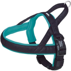 Nobby 80553-34 harnais pour chiens et chats L Noir, Turquoise Métal, Nylon Chien Harnais de sécurité pour ceinture de sécurité