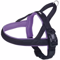 Nobby 80553-38, Chien, Harnais de sécurité pour ceinture de sécurité, L, Noir, Lilas, Métal, Nylon, Monochromatique