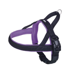 Nobby Mesh Preno XL Noir, Violet Métal, Nylon Chien Harnais de sécurité pour ceinture de sécurité