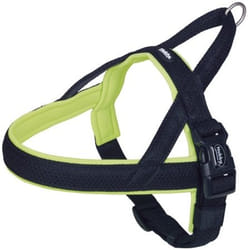 Nobby 80555-24 harnais pour chiens et chats XL Noir, Vert Nylon Chien Harnais avec laisse