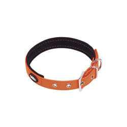 Nobby 80562-04 Orange Néoprène, Nylon, Polyester, Polyvinyl chloride (PVC) M Chien Collier standard
