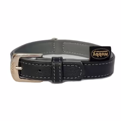 Nobby Pacífic, Chien, Collier standard, Gris, Cuir, Monochromatique, S